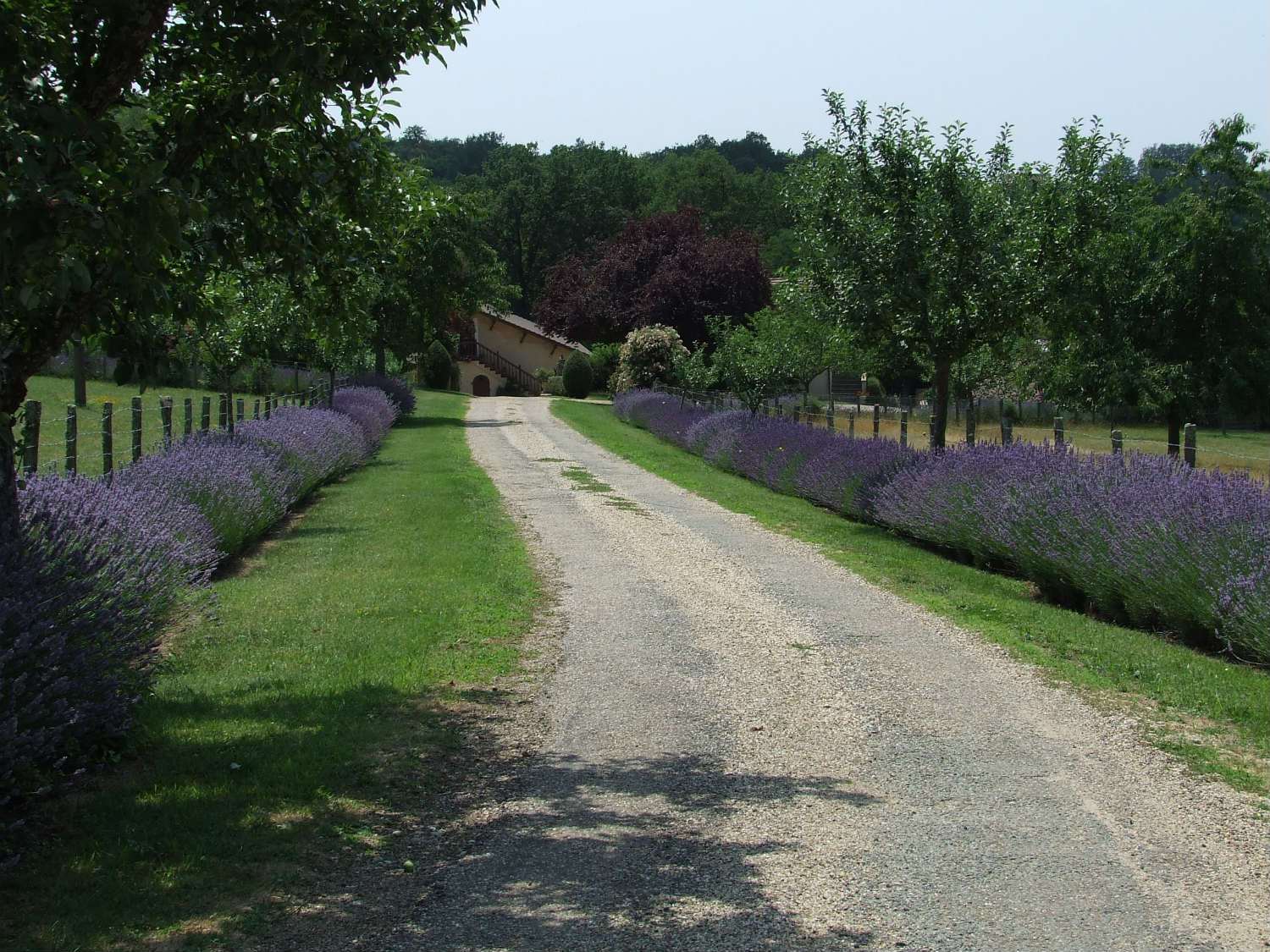 les-lavandes-holiday-cottages-in-black-perigord-dordogne