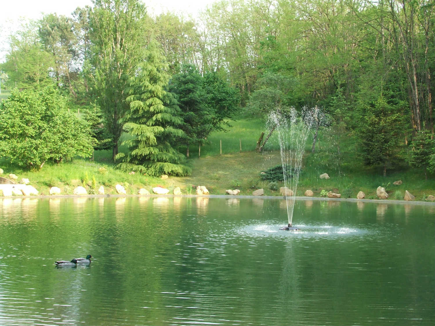 les-lavandes-holiday-cottages-in-black-perigord-dordogne