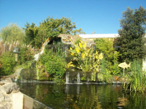 the-aquarium-of-black-perigord