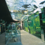 The Aquarium of black Périgord