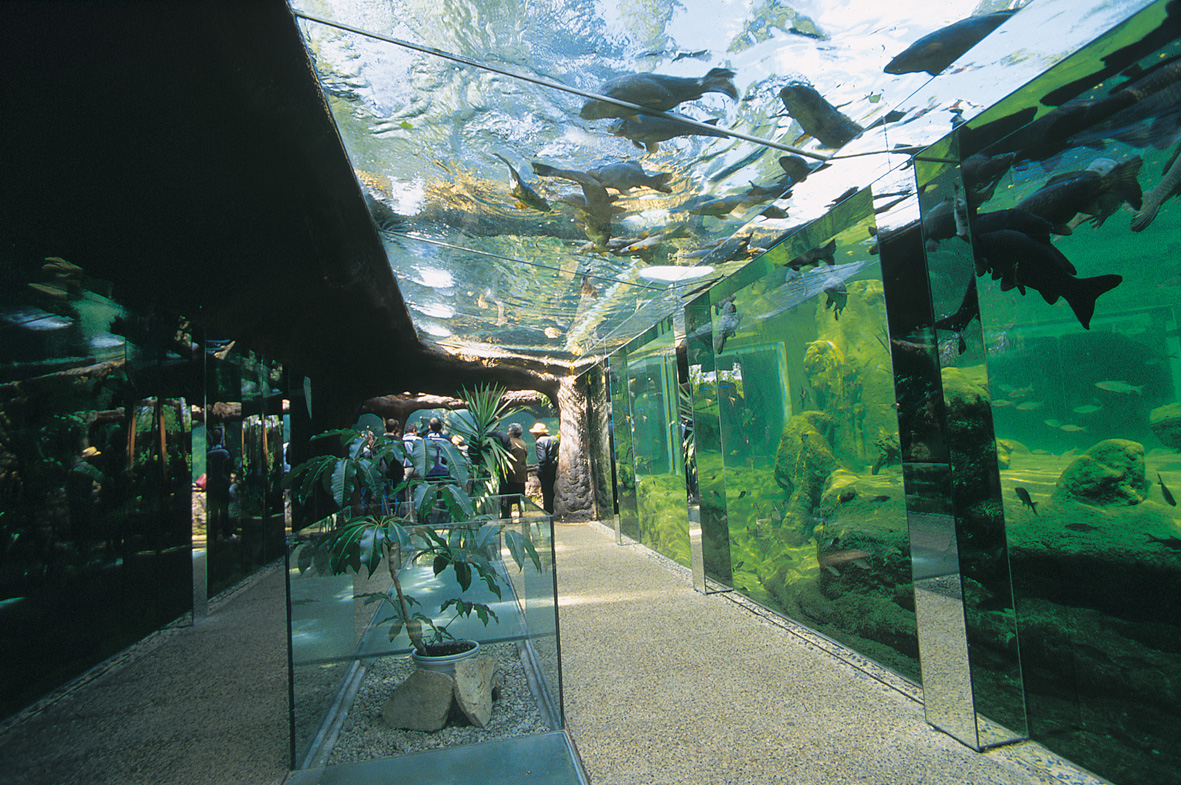 les-lavandes-the-aquarium-of-black-perigord